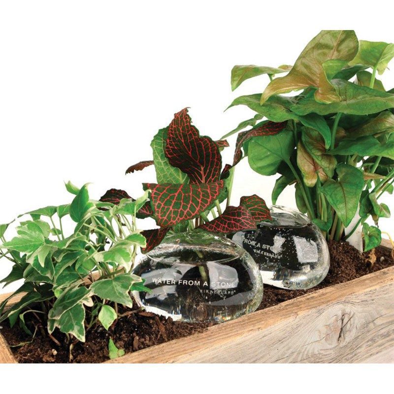 Kit di due pietre in vetro per irrigare le piante Kikkerland Water from a Stone
