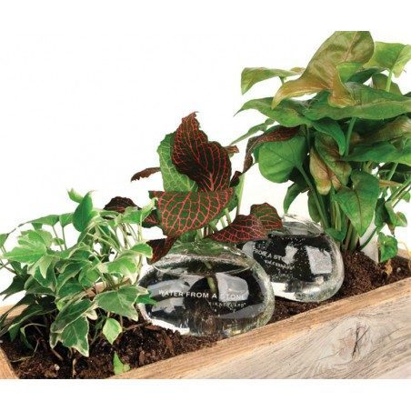 Kit di due pietre in vetro per irrigare le piante Kikkerland Water from a Stone