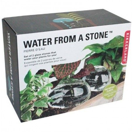 Kit di due pietre in vetro per irrigare le piante Kikkerland Water from a Stone