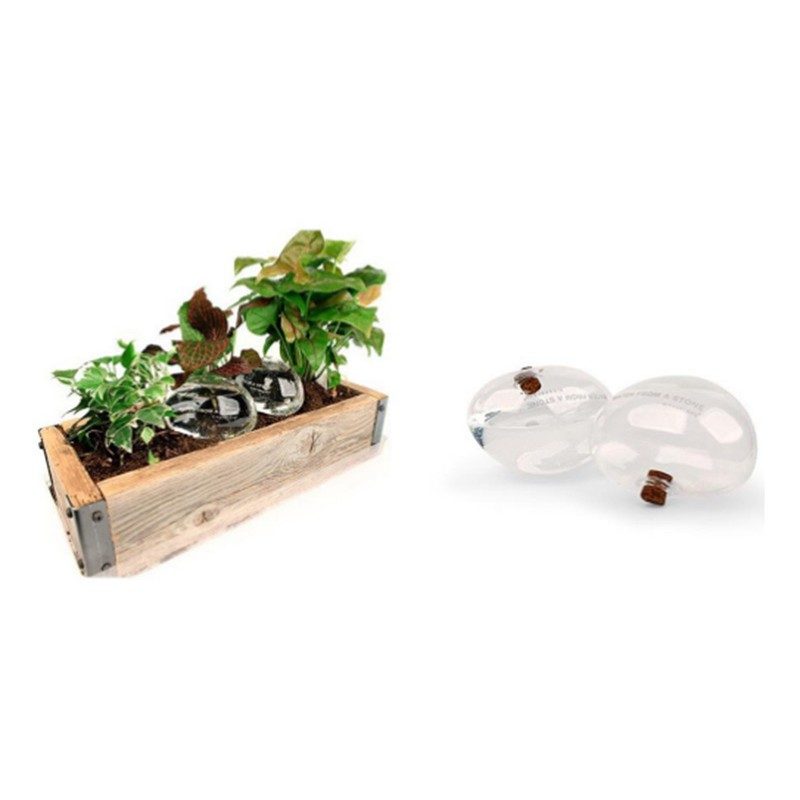 Kit di due pietre in vetro per irrigare le piante Kikkerland Water from a Stone