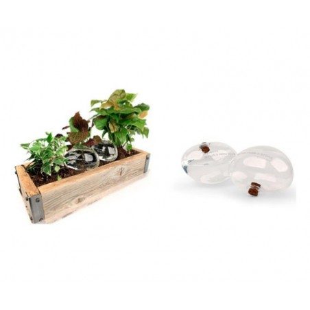 Kit di due pietre in vetro per irrigare le piante Kikkerland Water from a Stone