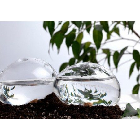 Kit di due pietre in vetro per irrigare le piante Kikkerland Water from a Stone