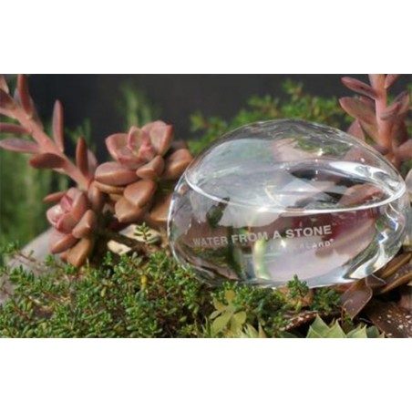 Kit di due pietre in vetro per irrigare le piante Kikkerland Water from a Stone