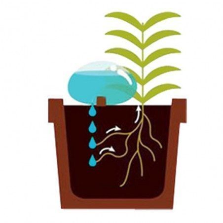 Kit di due pietre in vetro per irrigare le piante Kikkerland Water from a Stone