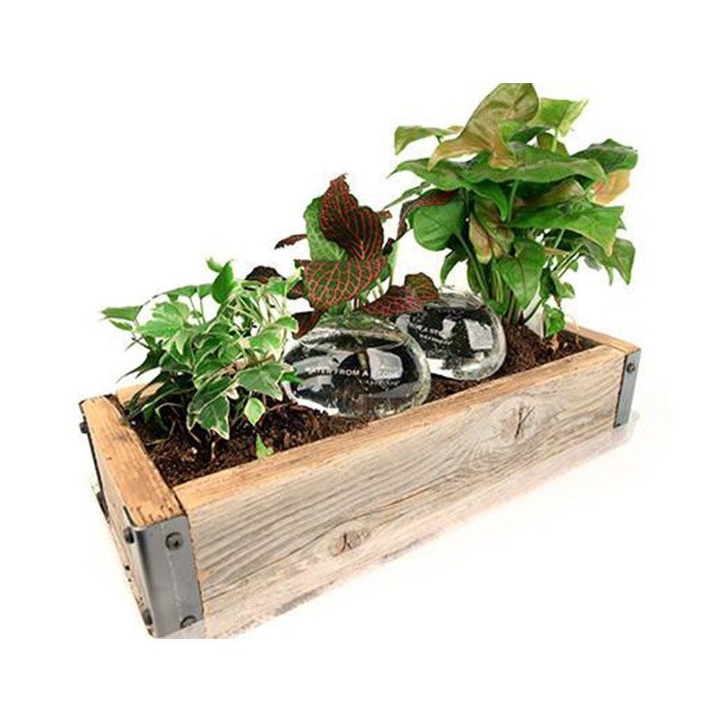 Kit di due pietre in vetro per irrigare le piante Kikkerland Water from a Stone