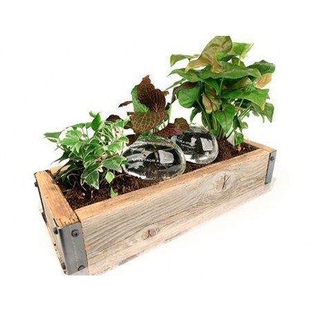 Kit di due pietre in vetro per irrigare le piante Kikkerland Water from a Stone