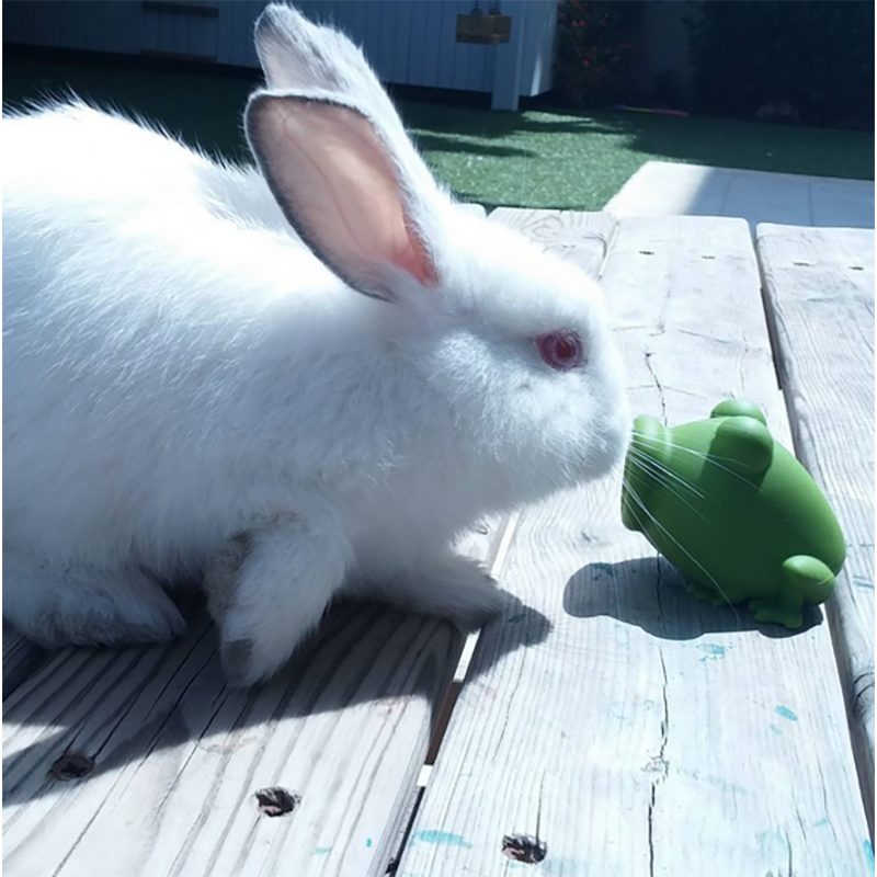 Separatore di tuorli Peleg Design YolkFrog verde