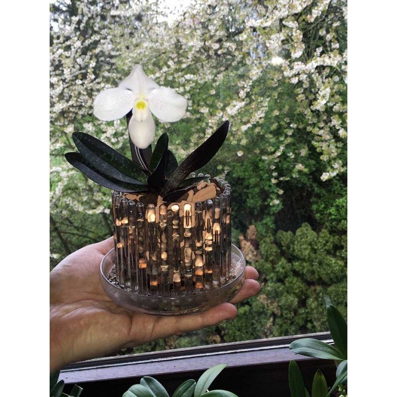 Set vaso e sottovaso da orchidee Orchitop Small