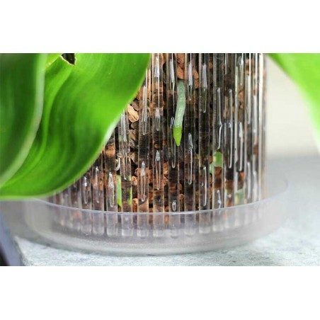 Set vaso e sottovaso da orchidee Orchitop Small Set vaso e sottovaso da orchidee Orchitop Small