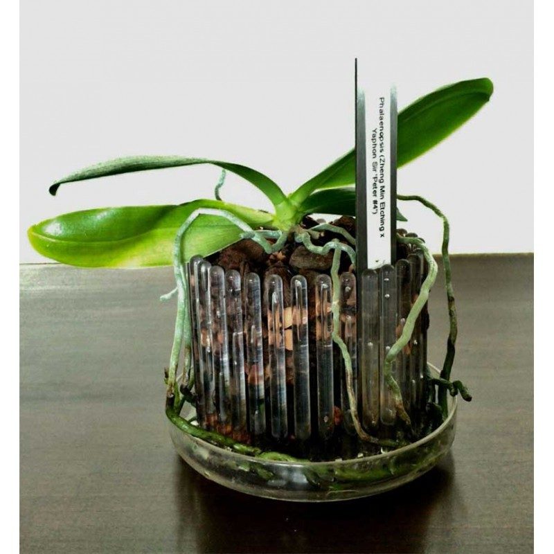 Set vaso e sottovaso da orchidee Orchitop Medium