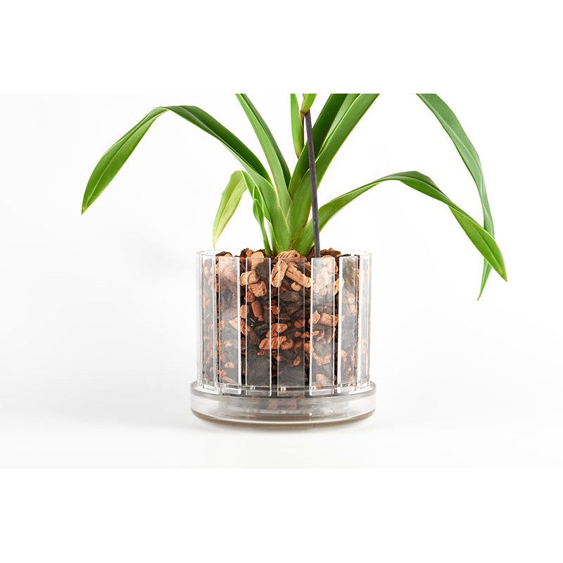 Set vaso e sottovaso da orchidee Orchitop Scoop Medium