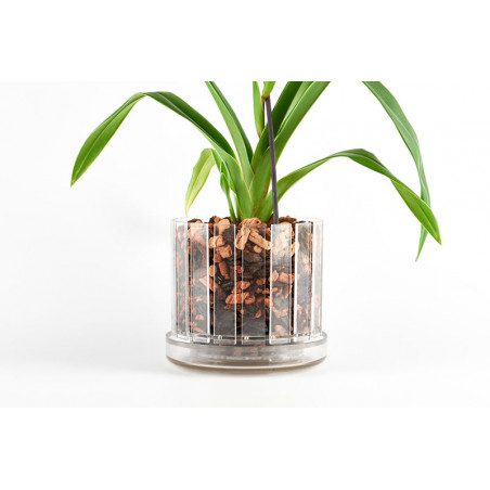 Set vaso e sottovaso da orchidee Orchitop Scoop Medium Set vaso e sottovaso da orchidee Orchitop Scoop Medium