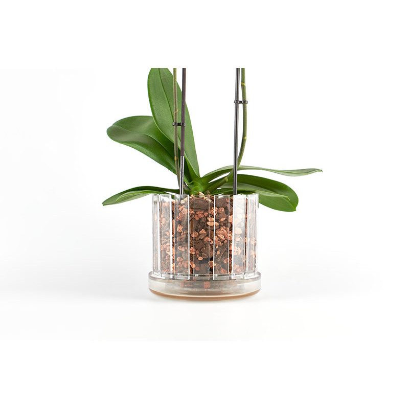 Set vaso e sottovaso da orchidee Orchitop Scoop Medium