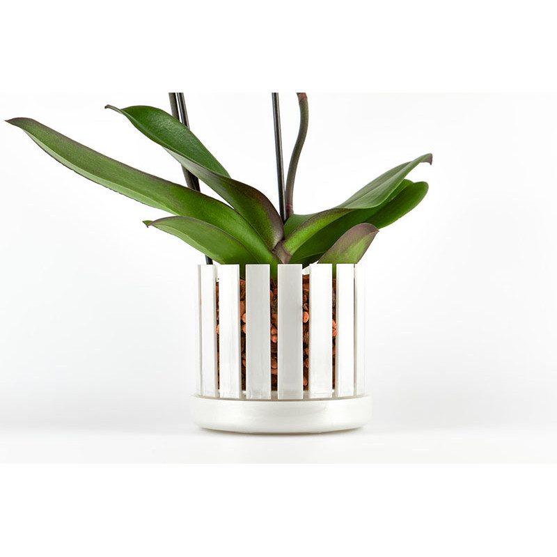 Set vaso e sottovaso da orchidee Orchitop Scoop Medium