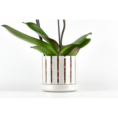 Set vaso e sottovaso da orchidee Orchitop Scoop Medium Set vaso e sottovaso da orchidee Orchitop Scoop Medium
