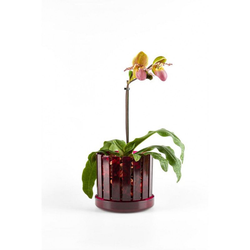 Set vaso e sottovaso da orchidee Orchitop Scoop Medium