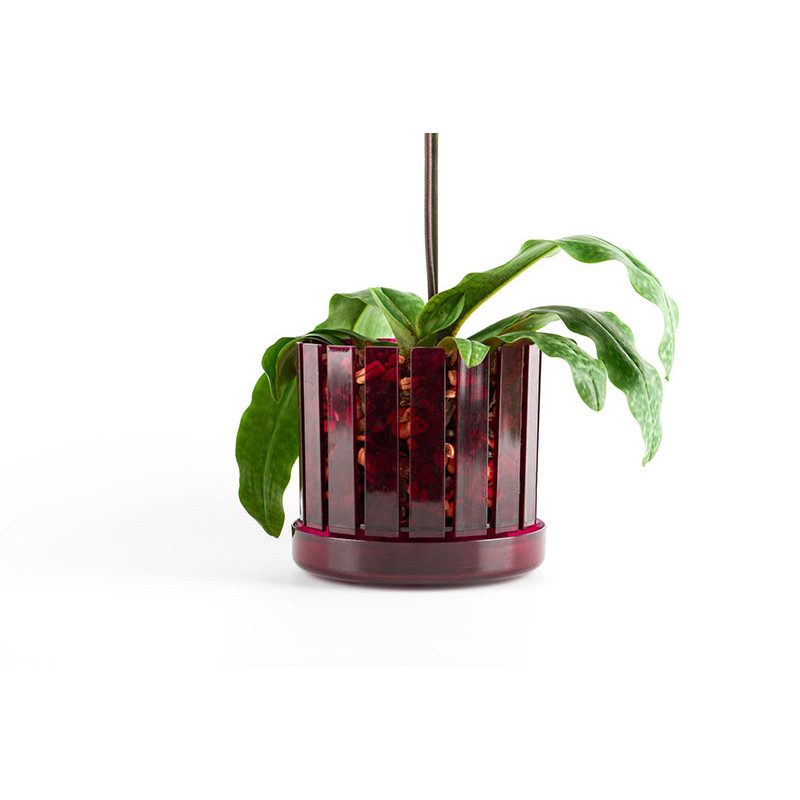 Set vaso e sottovaso da orchidee Orchitop Scoop Medium