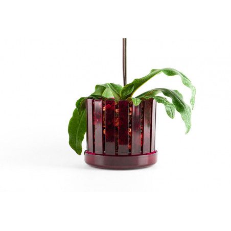 Set vaso e sottovaso da orchidee Orchitop Scoop Medium Set vaso e sottovaso da orchidee Orchitop Scoop Medium
