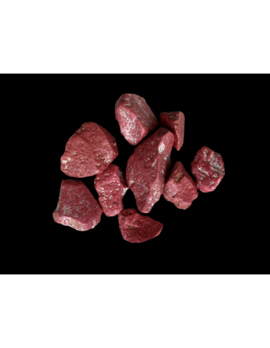 Substrato granulare per orchidee Vanda e Psychopsis Colomi