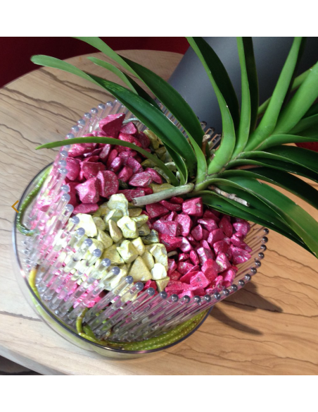 Substrato granulare per orchidee Vanda e Psychopsis Colomi Substrato granulare per orchidee Vanda e Psychopsis Colomi