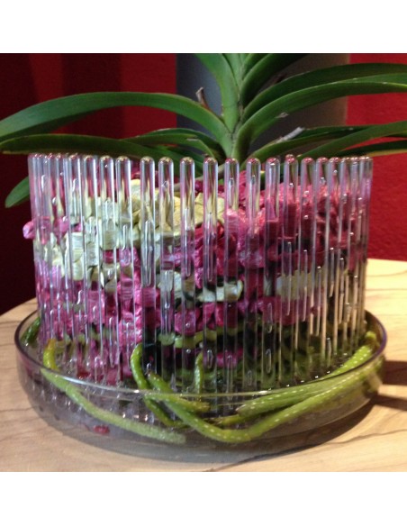 Substrato granulare per orchidee Vanda e Psychopsis Colomi Substrato granulare per orchidee Vanda e Psychopsis Colomi