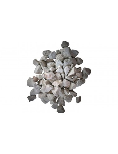 Substrato granulare per orchidee Cypripedium Paphiopedilum e Phragmipedium Colomi