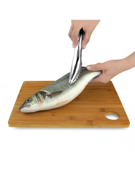 Squama pesci togli squame desquamatore per pesce I Genietti Ipac Squama pesci togli squame desquamatore per pesce I Genietti Ipac