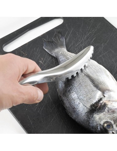 Squama pesci togli squame desquamatore per pesce I Genietti Ipac