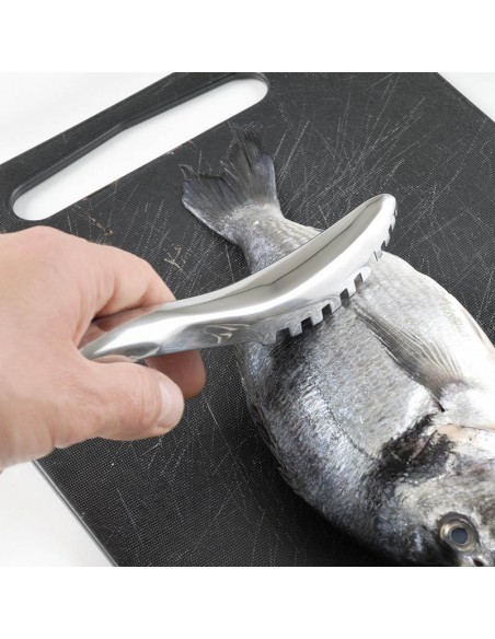 Squama pesci togli squame desquamatore per pesce I Genietti Ipac Squama pesci togli squame desquamatore per pesce I Genietti Ipac