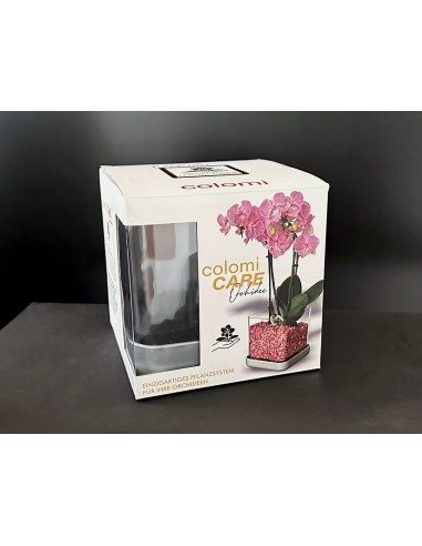 Vaso per orchidee Colomi Care
