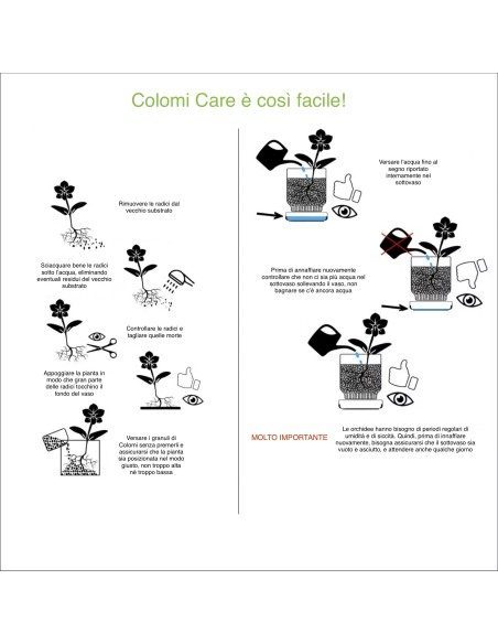 Vaso per orchidee Colomi Care