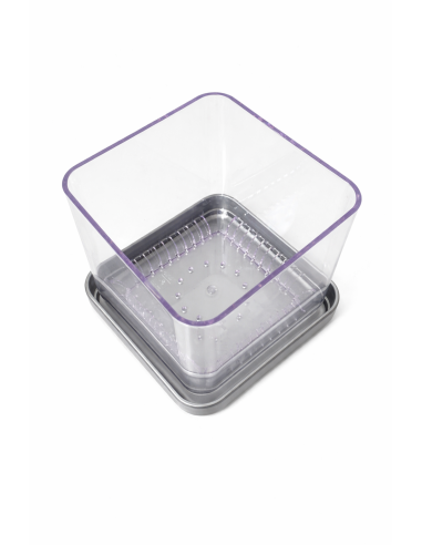 Vaso per orchidee Colomi Care