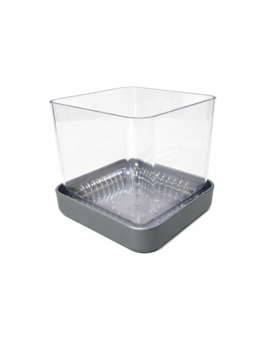 Vaso per orchidee Colomi Care