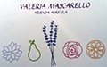 Azienda Agricola Valeria Mascarello